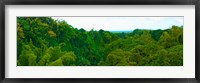 Trees on the bay, Rempart and Mamelles peaks, Tamarin Bay, Mauritius island, Mauritius Fine Art Print