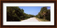 Road passing through Ding Darling National Wildlife Refuge, Sanibel Island, Lee County, Florida, USA Fine Art Print