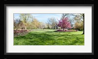 Trees in a Garden, Sherwood Gardens, Baltimore, Maryland Fine Art Print