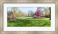 Trees in a Garden, Sherwood Gardens, Baltimore, Maryland Fine Art Print