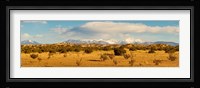High desert plains landscape with snowcapped Sangre de Cristo Mountains in the background, New Mexico Fine Art Print