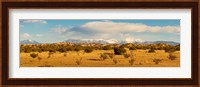 High desert plains landscape with snowcapped Sangre de Cristo Mountains in the background, New Mexico Fine Art Print