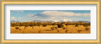 High desert plains landscape with snowcapped Sangre de Cristo Mountains in the background, New Mexico Fine Art Print