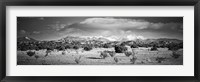 High desert plains landscape with snowcapped Sangre de Cristo Mountains in the background, New Mexico (black and white) Fine Art Print