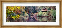 Japanese Garden in autumn, Tatton Park, Cheshire, England Fine Art Print