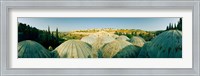 Domes at the Church of All Nations, Jerusalem, Israel Fine Art Print