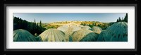 Domes at the Church of All Nations, Jerusalem, Israel Fine Art Print