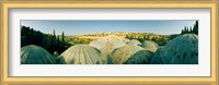Domes at the Church of All Nations, Jerusalem, Israel Fine Art Print