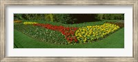 Flowers in St. James's Park, City of Westminster, London, England Fine Art Print