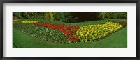 Flowers in St. James's Park, City of Westminster, London, England Fine Art Print