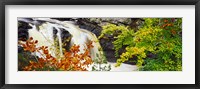 Rogie Falls, Black Water, Garve, Ross-Shire, Scotland Fine Art Print