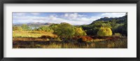 Autumn Rrees at Loch Carron, Scotland Fine Art Print