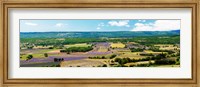 Aerial view of fields, Provence-Alpes-Cote d'Azur, France Fine Art Print