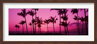 Silhouette of palm trees at dusk, Hawaii, USA Fine Art Print