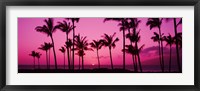 Silhouette of palm trees at dusk, Hawaii, USA Fine Art Print