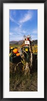 Scarecrow in Pumpkin Patch, Half Moon Bay, California (vertical) Fine Art Print