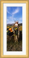 Scarecrow in Pumpkin Patch, Half Moon Bay, California (vertical) Fine Art Print