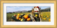 Scarecrow in Pumpkin Patch, Half Moon Bay, California (horizontal) Fine Art Print