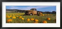 Old Rusty Truck in Pumpkin Patch, Half Moon Bay, California, USA Fine Art Print