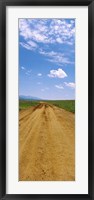 Dirt road passing through San Rafael Valley, Arizona Fine Art Print