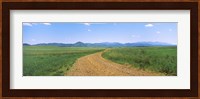 Dirt road passing through a landscape, San Rafael Valley, Arizona Fine Art Print