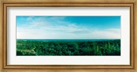 High angle view of trees with Atlantic Ocean at Fort Tilden beach, Queens, New York City, New York State, USA Fine Art Print