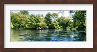 Pond in the Central Park, Manhattan, New York City, New York State, USA Fine Art Print