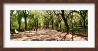 Central Park, New York City, New York State Fine Art Print