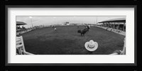 Cowboy riding bull at rodeo arena, Pecos, Texas, USA Fine Art Print