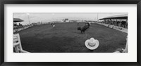 Cowboy riding bull at rodeo arena, Pecos, Texas, USA Fine Art Print