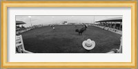 Cowboy riding bull at rodeo arena, Pecos, Texas, USA Fine Art Print