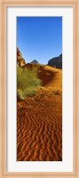 Sand dunes in a desert, Jordan (vertical) Fine Art Print