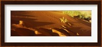 Sand dunes in a desert, Jordan (horizontal) Fine Art Print