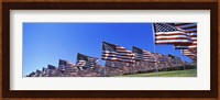 American flags, Pepperdine University, Malibu, California Fine Art Print