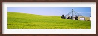 Wheat field with silos in the background, Palouse County, Washington State Fine Art Print