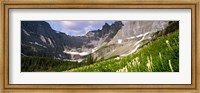 Beargrass with mountains in the background, Montana Fine Art Print
