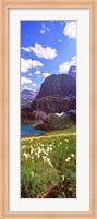 Beargrass with Grinnell Lake in the background, US Glacier National Park, Montana Fine Art Print