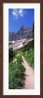 Hiking trail at US Glacier National Park, Montana, USA Fine Art Print