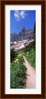 Hiking trail at US Glacier National Park, Montana, USA Fine Art Print