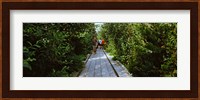 People walking on walkway in an elevated park, High Line, New York City, New York State, USA Fine Art Print