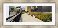Walkway in a linear park, High Line, New York City, New York State, USA Fine Art Print