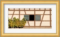 Detail of half timber house and grape vines, Strumpfelbach, Baden-Wurttemberg, Germany Fine Art Print