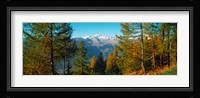 Trees in autumn at Simplon Pass, Valais Canton, Switzerland (horizontal) Fine Art Print