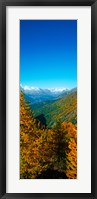 Trees in autumn at Simplon Pass, Valais Canton, Switzerland (vertical) Fine Art Print