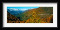 Trees with road in autumn at Simplon Pass, Valais Canton, Switzerland Fine Art Print