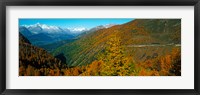 Trees with road in autumn at Simplon Pass, Valais Canton, Switzerland Fine Art Print