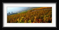 Vineyards and village in autumn, Valais Canton, Switzerland Fine Art Print
