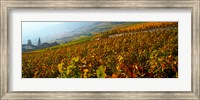 Vineyards and village in autumn, Valais Canton, Switzerland Fine Art Print