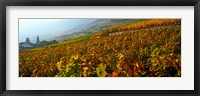 Vineyards and village in autumn, Valais Canton, Switzerland Fine Art Print