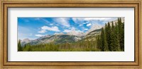 Trees with Canadian Rockies in the background, Smith-Dorrien Spray Lakes Trail, Kananaskis Country, Alberta, Canada Fine Art Print
